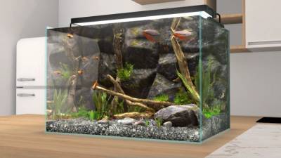 Behind Glass: Aquarium Simulator бесплатно скачать на пк