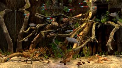 Behind Glass: Aquarium Simulator торрент скачать