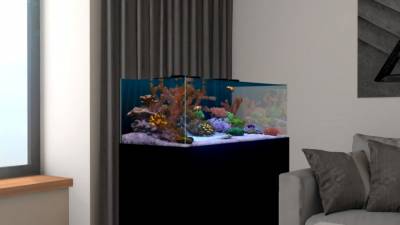 Behind Glass: Aquarium Simulator скачать на пк