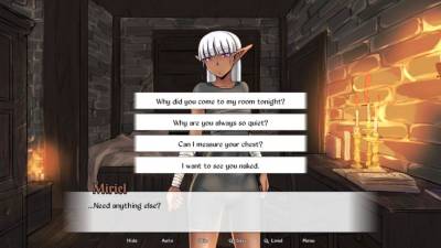 Elf Enchanter: Arousing Anima скачать на пк