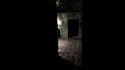 Hanefield Asylum бесплатно скачать на пк