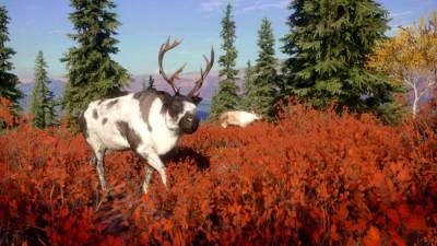 theHunter: Call of the Wild - Yukon Valley бесплатно скачать на пк