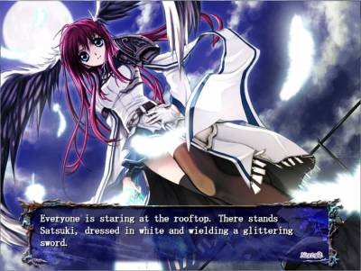 Seinarukana -The Spirit of Eternity Sword 2- бесплатно скачать на пк