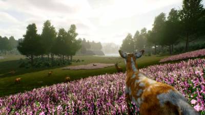 Deer Journey торрент скачать