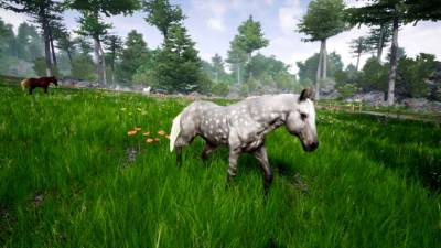 Horse Riding Deluxe 2 скачать на пк
