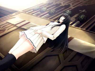 Kara No Shoujo скачать на пк