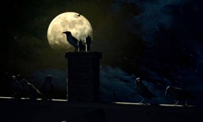 Nancy Drew: The Haunting of Castle Malloy бесплатно скачать на пк