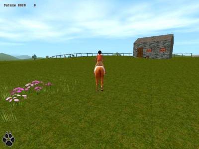 Saddle Club: Willowbrook Stables торрент скачать