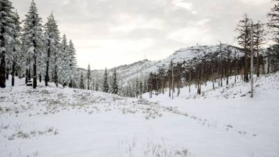 Erzurum скачать на пк