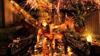 Shadow Warrior скачать на пк
