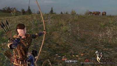 Mount and Blade: Warband - Viking Conquest Reforged Edition торрент скачать