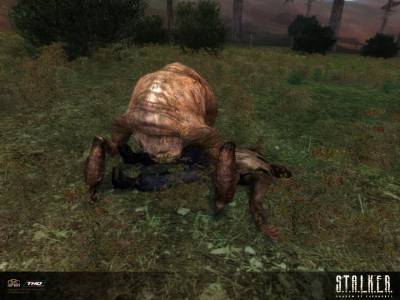 скачать игру сталкер тень чернобыля