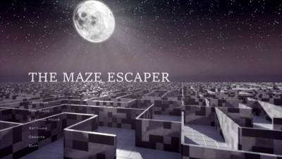 The Maze Escaper торрент скачать
