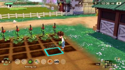 STORY OF SEASONS: A Wonderful Life бесплатно скачать на пк
