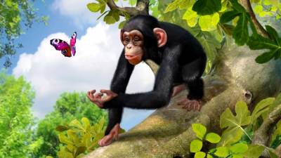 Zoo Tycoon: Ultimate Animal Collection скачать на пк