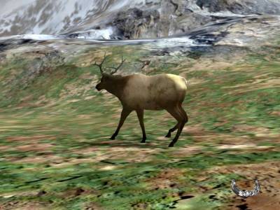 Canada Hunt торрент скачать