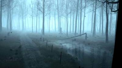 Dead Forest торрент скачать