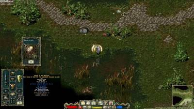 Divine Divinity бесплатно скачать на пк