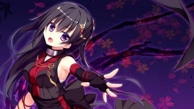 Ninja Girl and the Mysterious Army of Urban Legend Monsters! ~Hunt of the Headless Horseman~ бесплатно скачать на пк