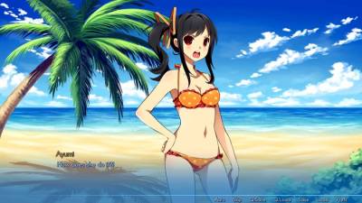 Sakura Beach 2 скачать на пк