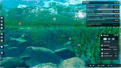 Among Ripples: Shallow Waters торрент скачать