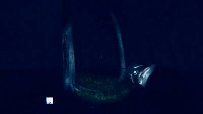 The Midnight Eater бесплатно скачать на пк