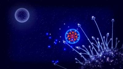 Microcosmum: survival of cells бесплатно скачать на пк