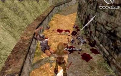 Severance: Blade of Darkness бесплатно скачать на пк
