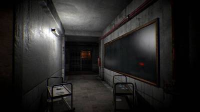 DYING: Reborn бесплатно скачать на пк