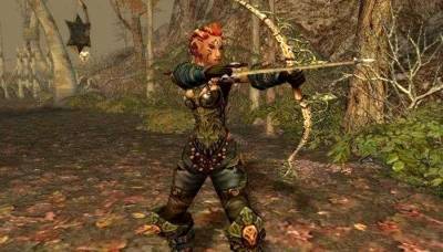 Dungeon Siege 2: Broken World торрент скачать