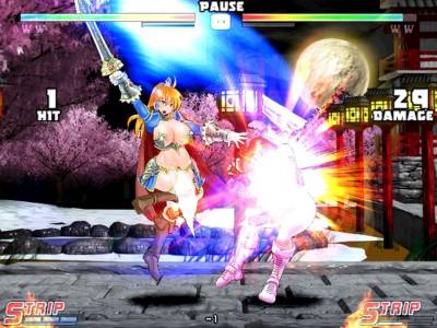 Strip Fighter 5: Chimpocon Edition торрент скачать