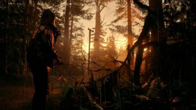 Alan Wake 2 торрент скачать