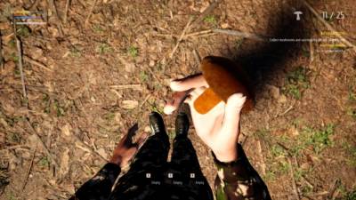 Mushroom Picker Simulator торрент скачать