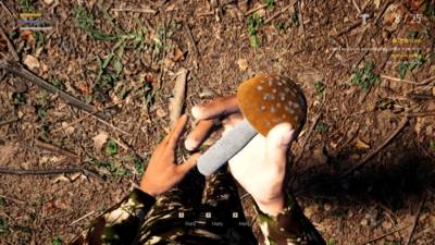 Mushroom Picker Simulator скачать на пк