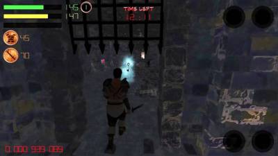 Dungeon Avenger бесплатно скачать на пк