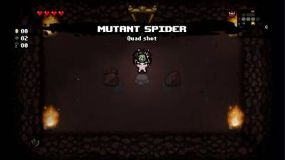 The Binding of Isaac: Rebirth скачать на пк