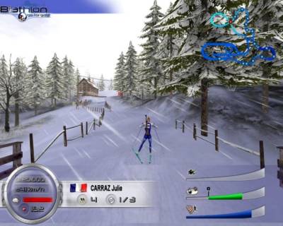 Biathlon 2006 - Go For Gold скачать на пк