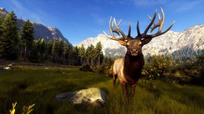 Way of the Hunter бесплатно скачать на пк