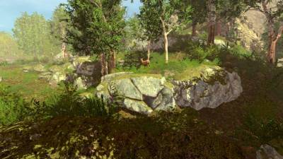 Trials of Wilderness бесплатно скачать на пк
