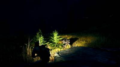 Open Country скачать на пк