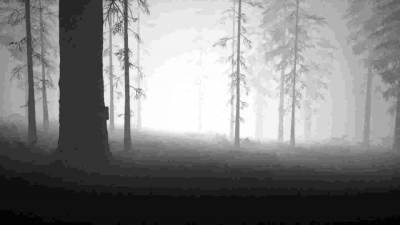 Study of Unusual: Forest of Secrets торрент скачать