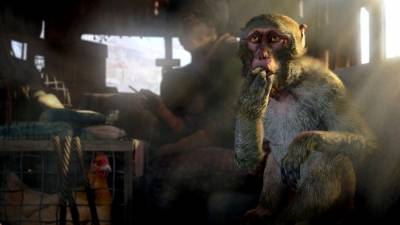 Far Cry 4 скачать на пк