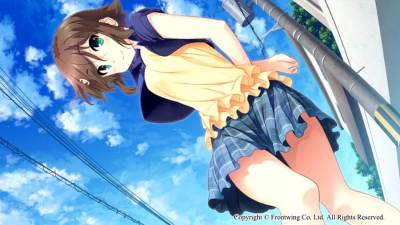 Himawari - The Sunflower - торрент скачать
