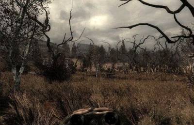 Stalker Shadow of Chernobyl - Autumn Aurora торрент скачать