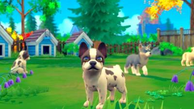 My Universe - Puppies and Kittens скачать на пк