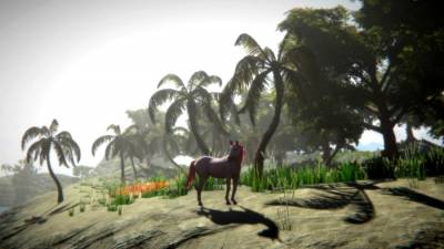 Horse and Go Seek бесплатно скачать на пк