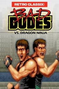 Скачать Retro Classix: Bad Dudes