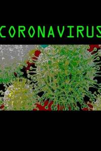 Скачать Coronavirus 1.0