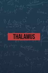 Скачать Thalamus