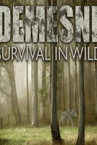 Скачать Demesne